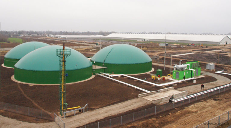 Biogas Power Plant