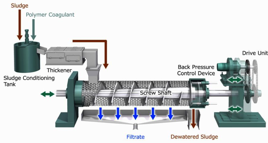 Screw Press