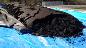 Sludge Dewatering