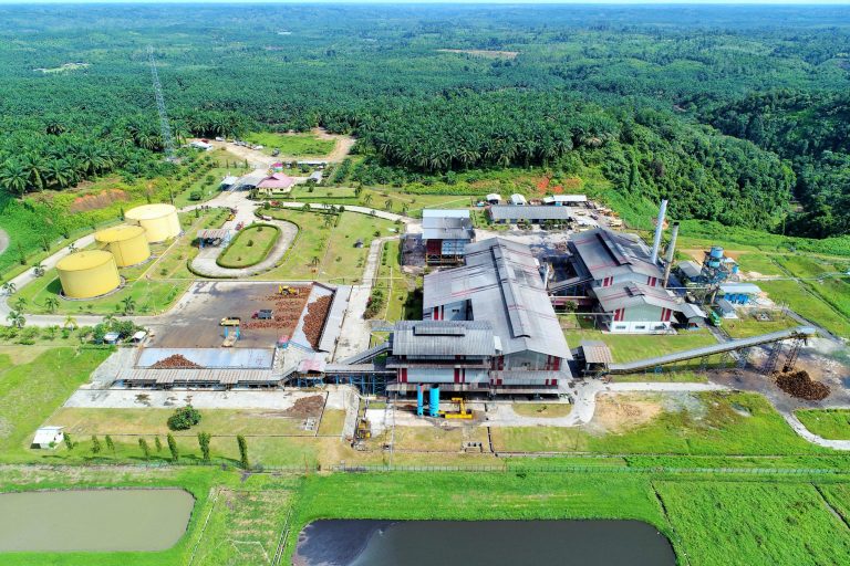 Palm Oil Mill VIRIDIS
