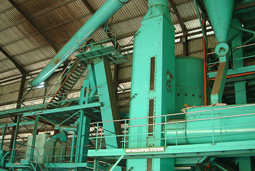 VIRIDIS Nut and Kernel Separator