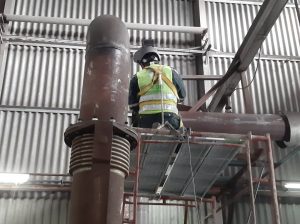 VIRIDIS Waste Oil Treatment & Refining